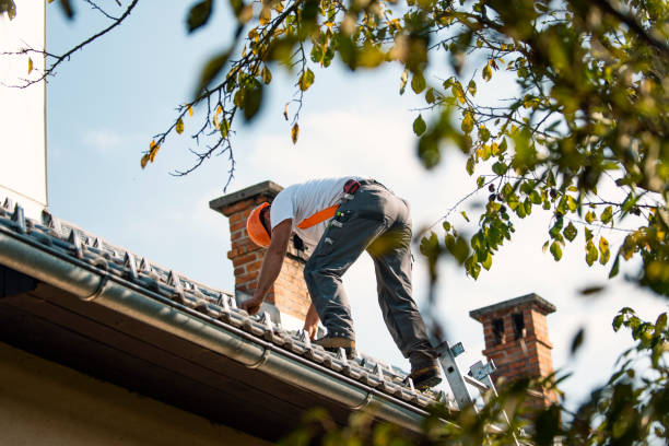 Best Tile Roofing Contractor  in Chisholm, ME