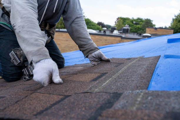 Best Roof Waterproofing Services  in Chisholm, ME