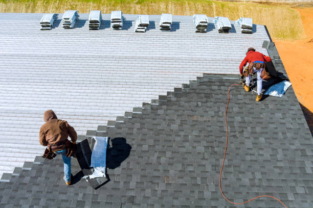 Best Metal Roofing Contractor  in Chisholm, ME