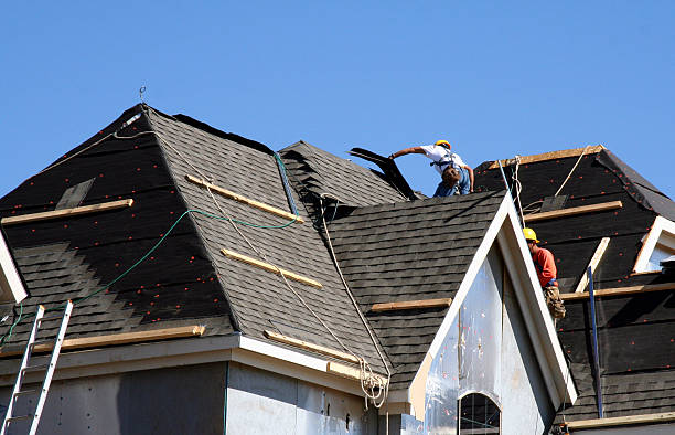 Best Roof Gutter Cleaning  in Chisholm, ME