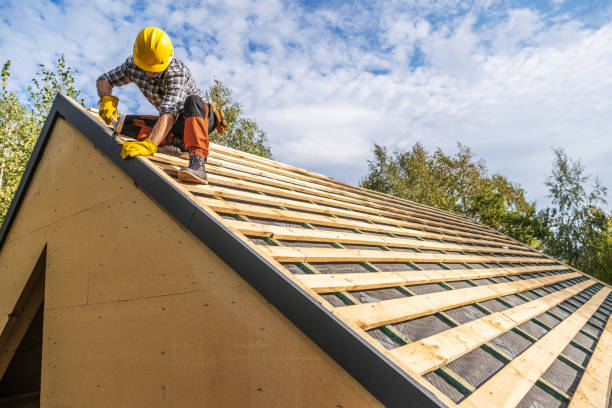 Best Roof Replacement Cost  in Chisholm, ME