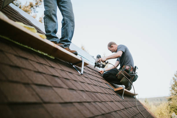 Best Gutter Installation and Roofing  in Chisholm, ME