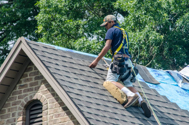 Best Residential Roofing Contractor  in Chisholm, ME